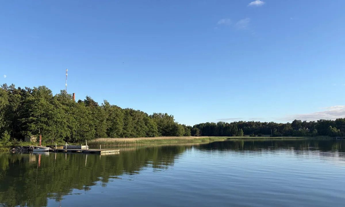Pakinainen: Kleine steiger