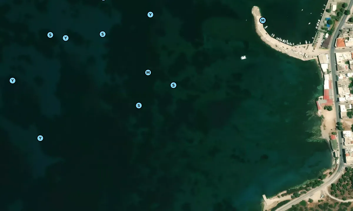 Satelite image of Palaia Fokaia