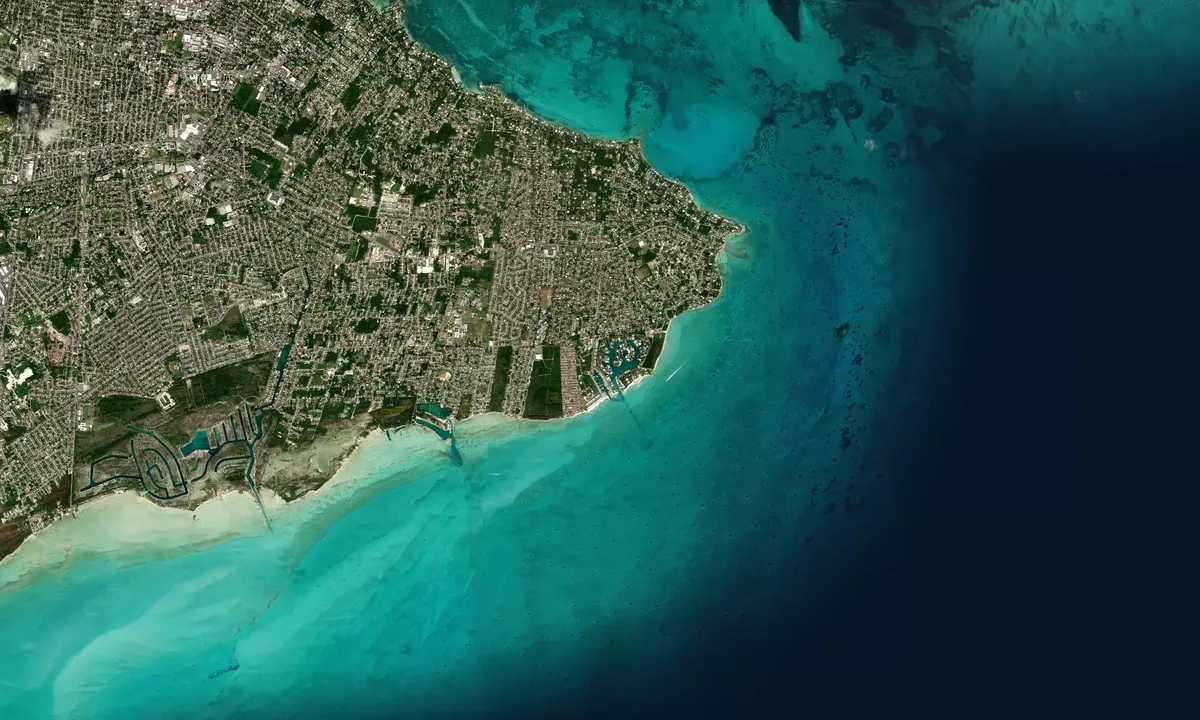 Flyfoto av Palm Cay Marina