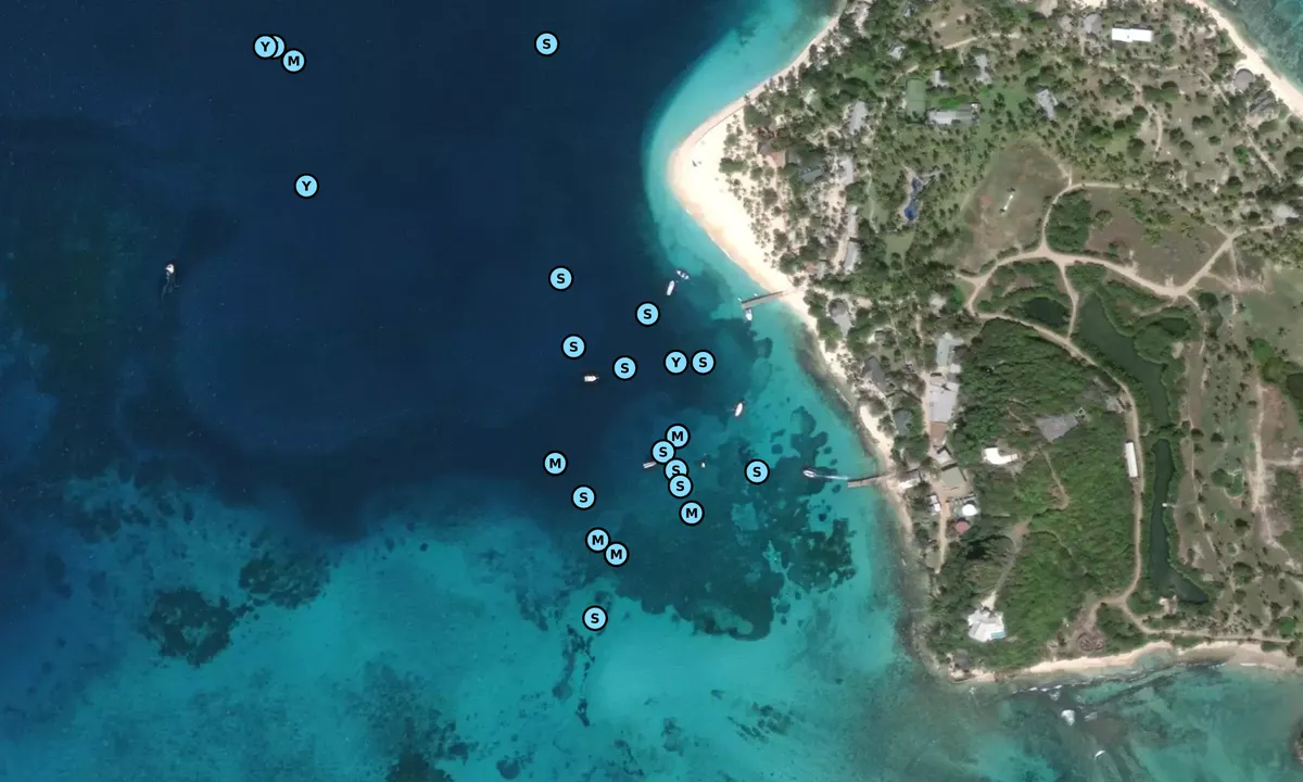 Satelite image of Palm Island 1