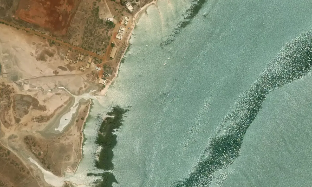 Satelite image of Palmarin