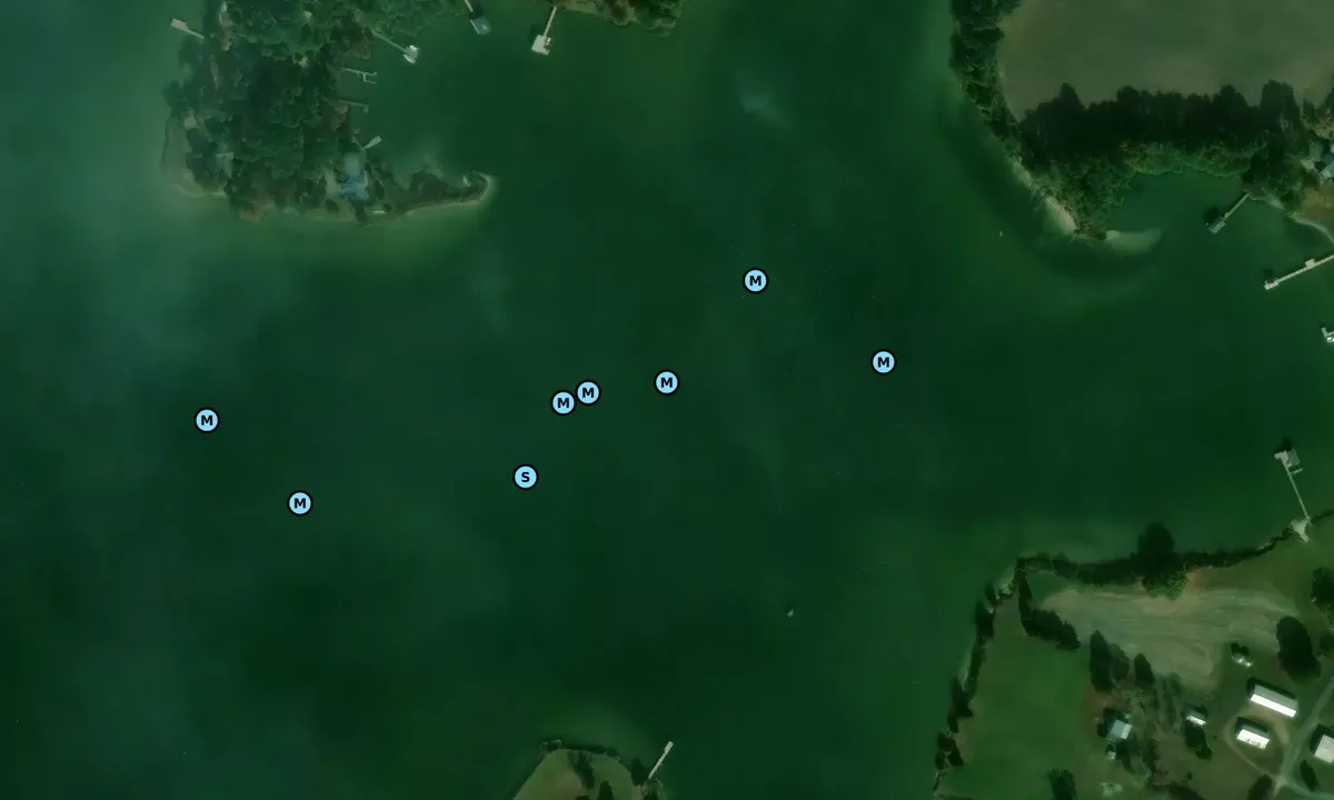 Satelite image of Palmer Cove