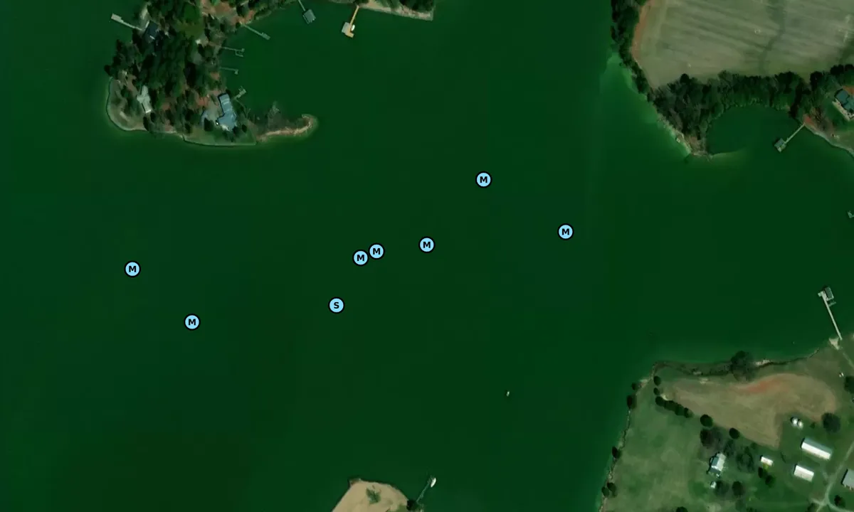 Satelite image of Palmer Cove