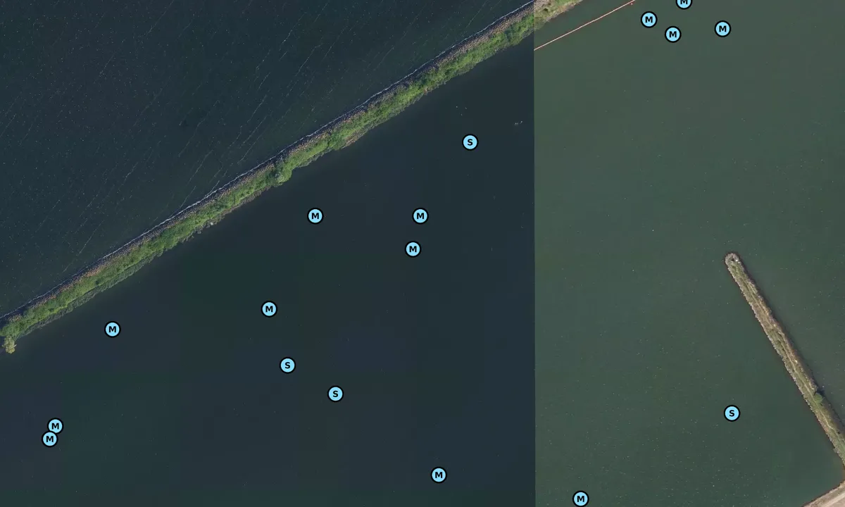 Flyfoto av Pampushaven