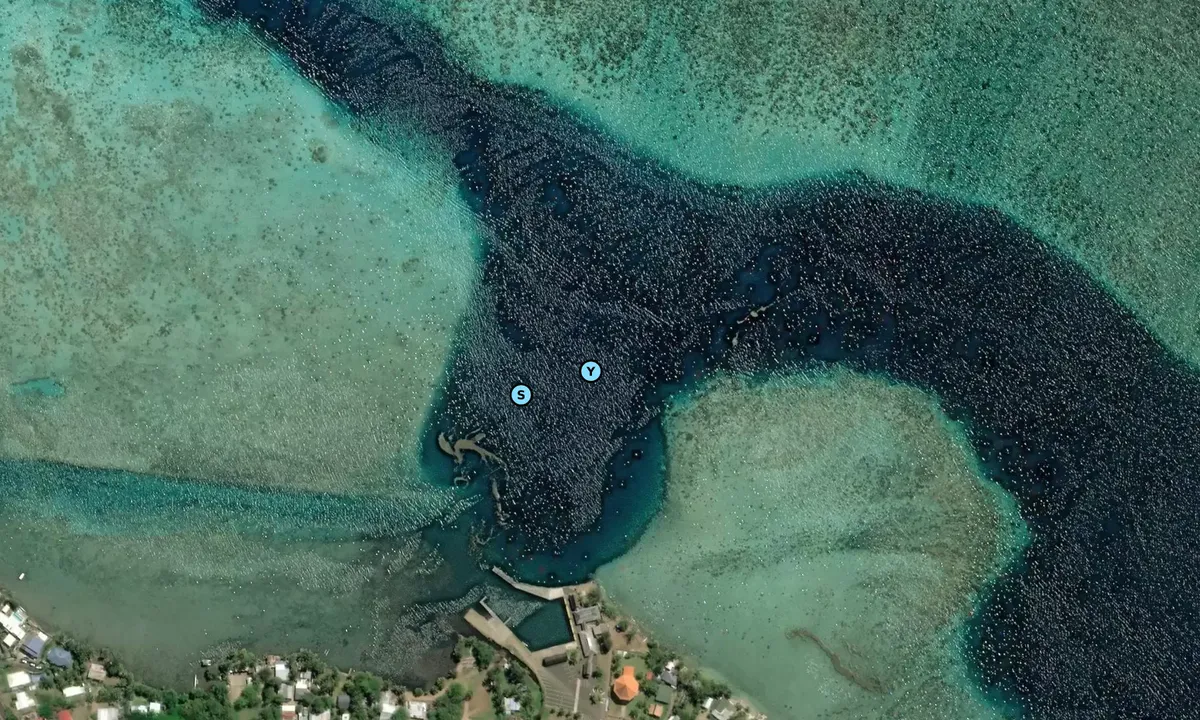 Satelite image of Papetoai