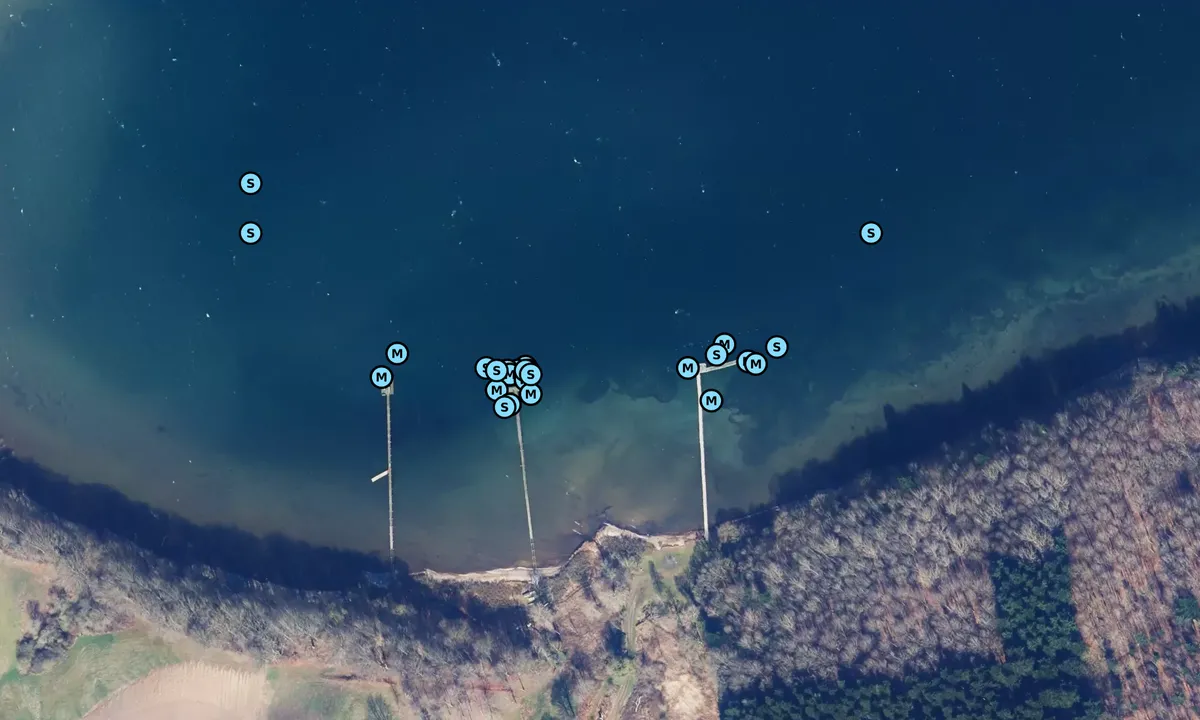 Satelite image of Paradisbugten