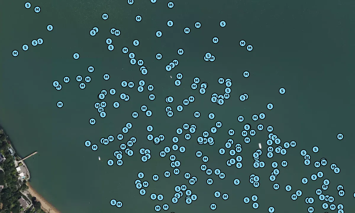 Satelite image of Paradise Cove - Marin
