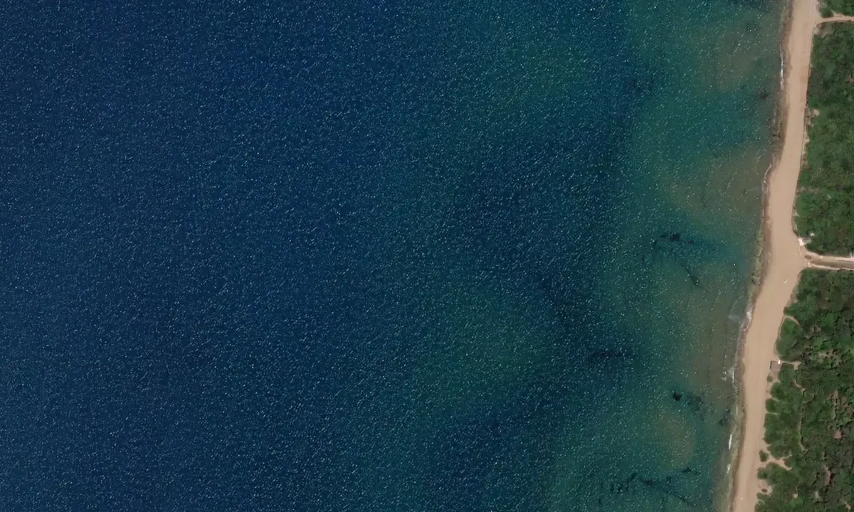 Satelite image of Parco Costiero di Rimigliano