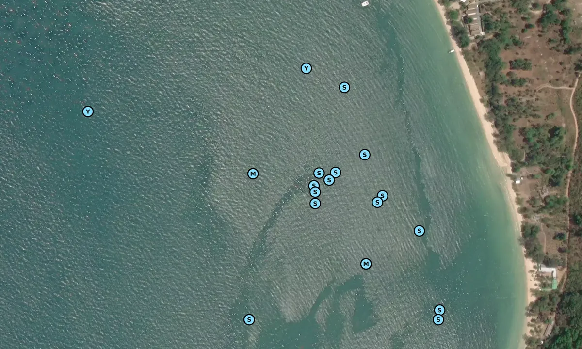 Satelite image of Paret Bay