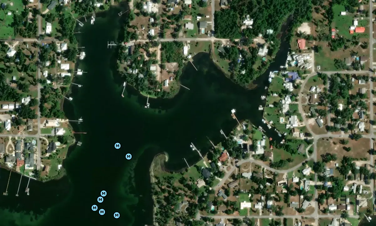 Satelite image of Parker Bayou - 2