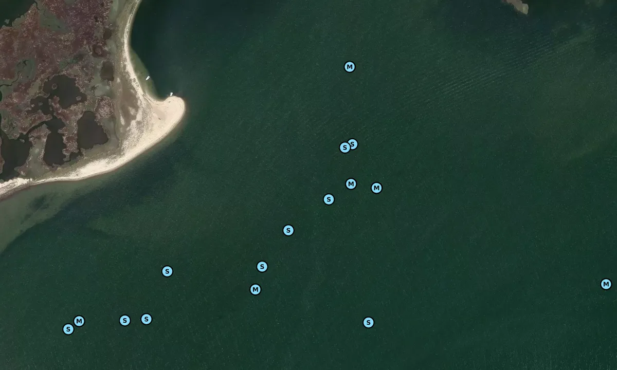 Satelite image of Parker Marsh