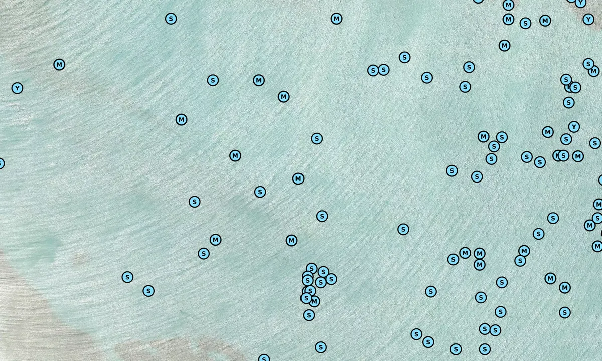 Satelite image of Passaggio della Pelosa