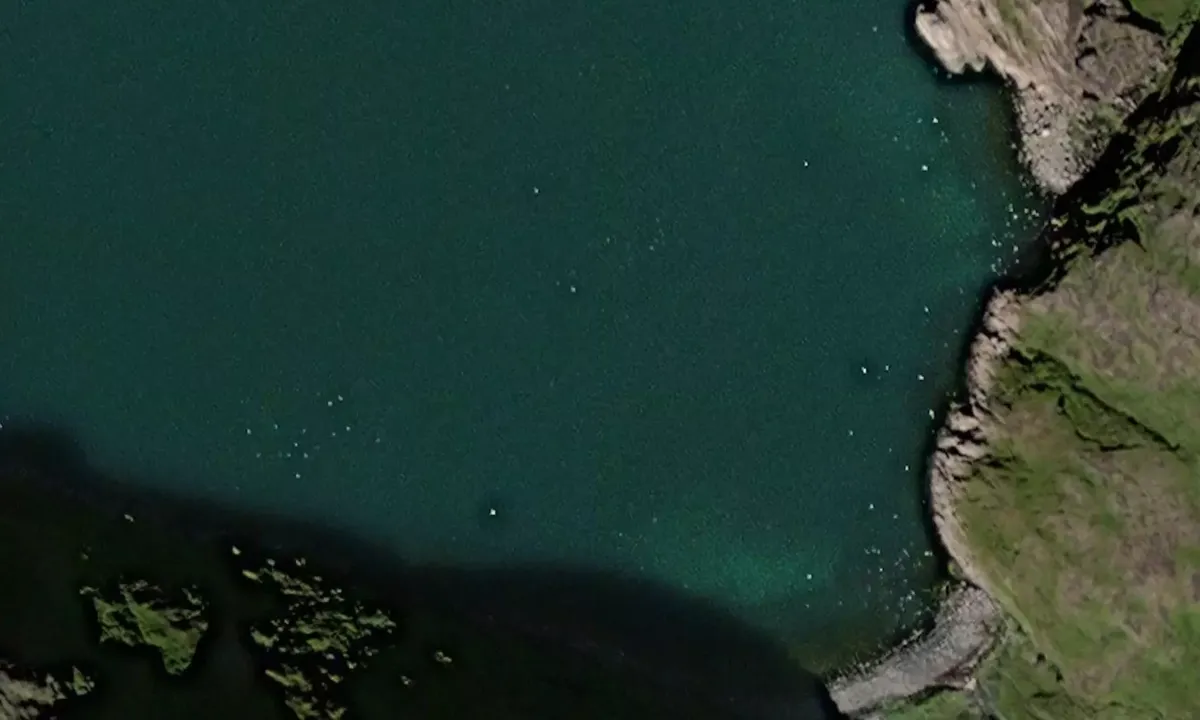 Satelite image of Pasvikhamna
