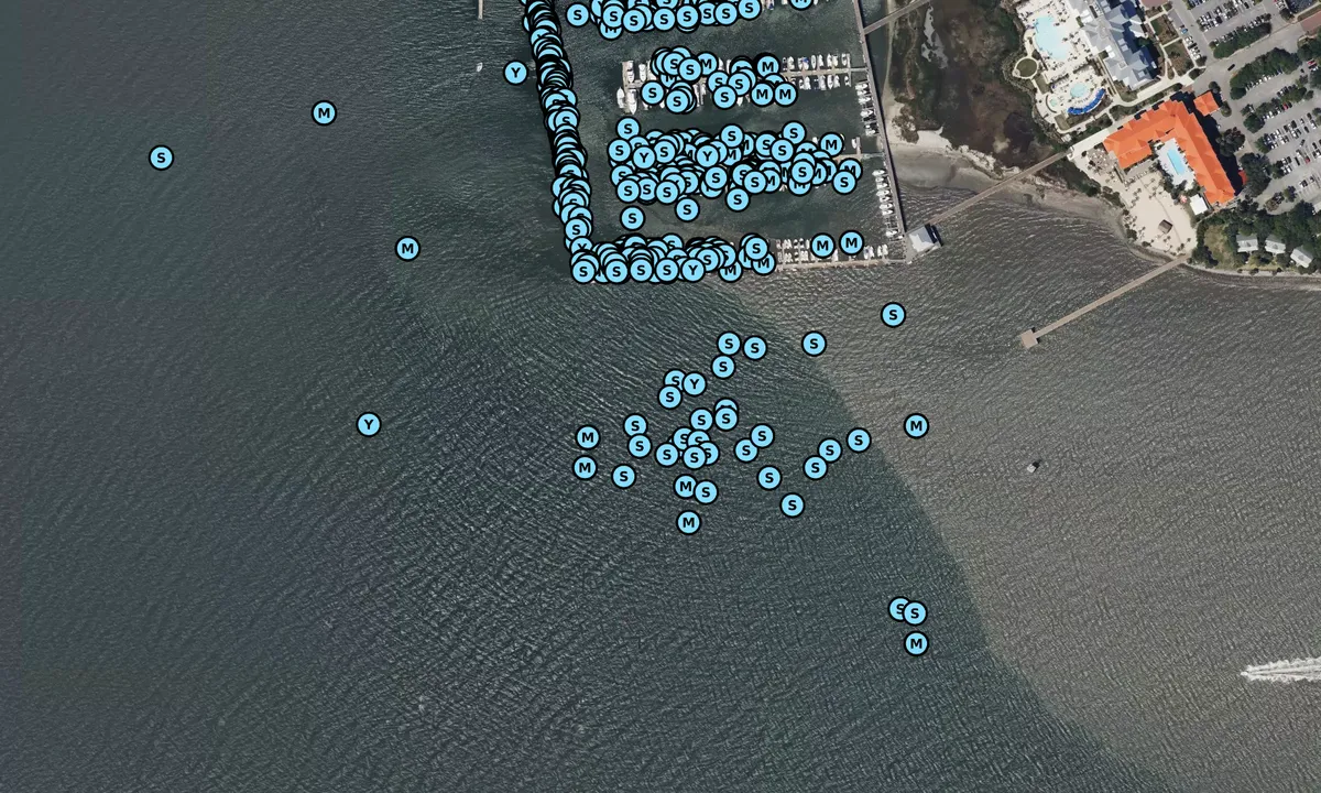 Satelite image of Patriots Point