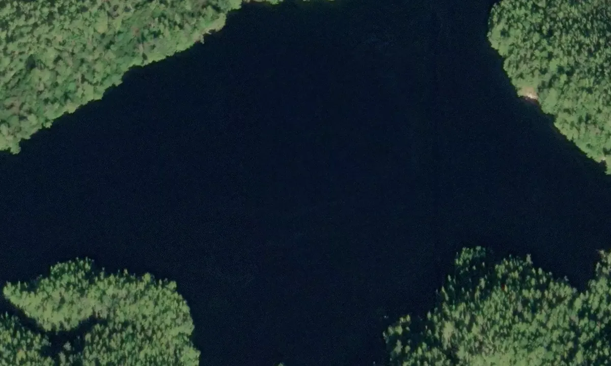 Satelite image of Patterson Inlet - North Arm
