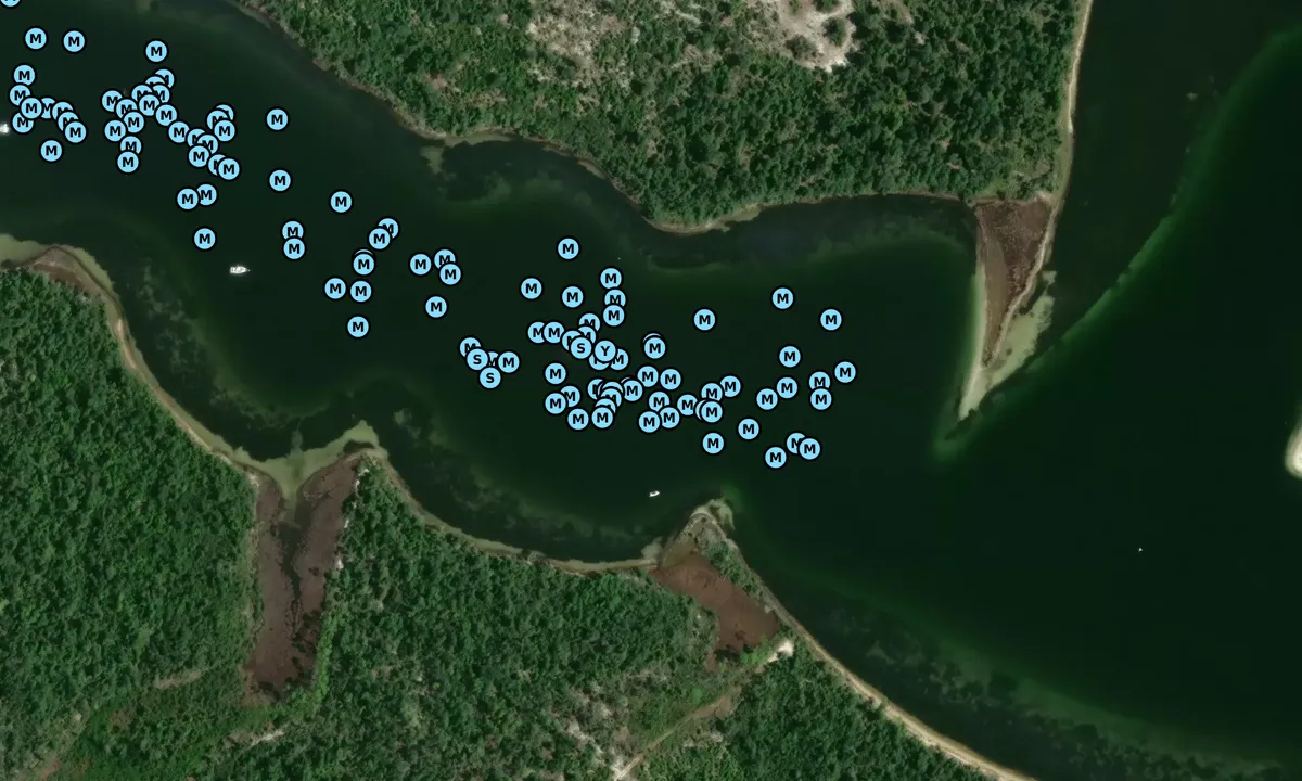 Satelite image of Pearl Bayou - 1