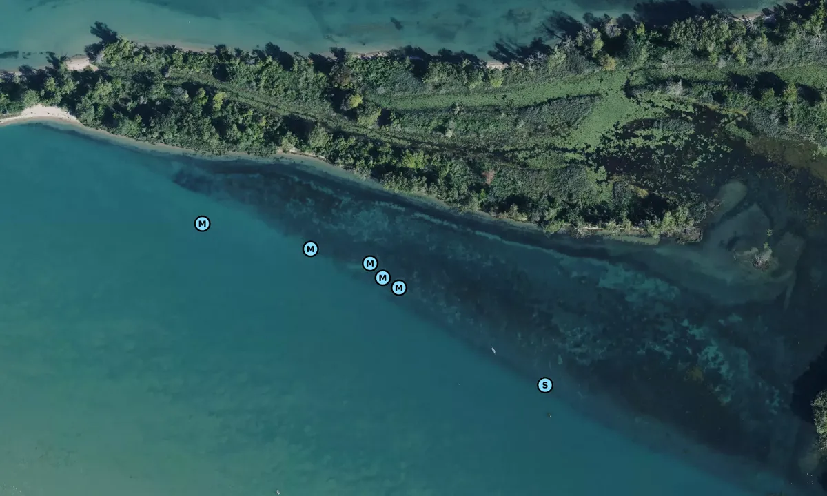 Satelite image of Peche Island