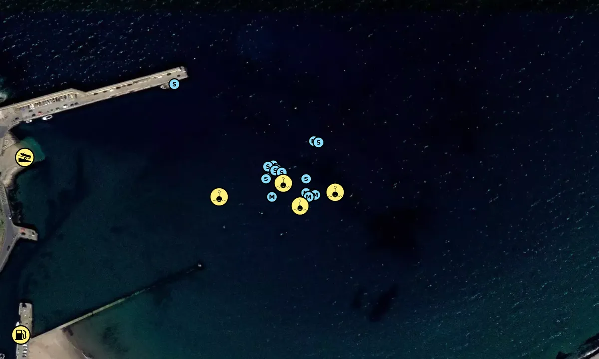 Satelite image of Peel Harbour