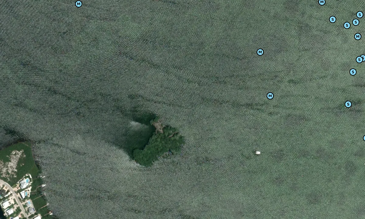 Satelite image of Pelican Key