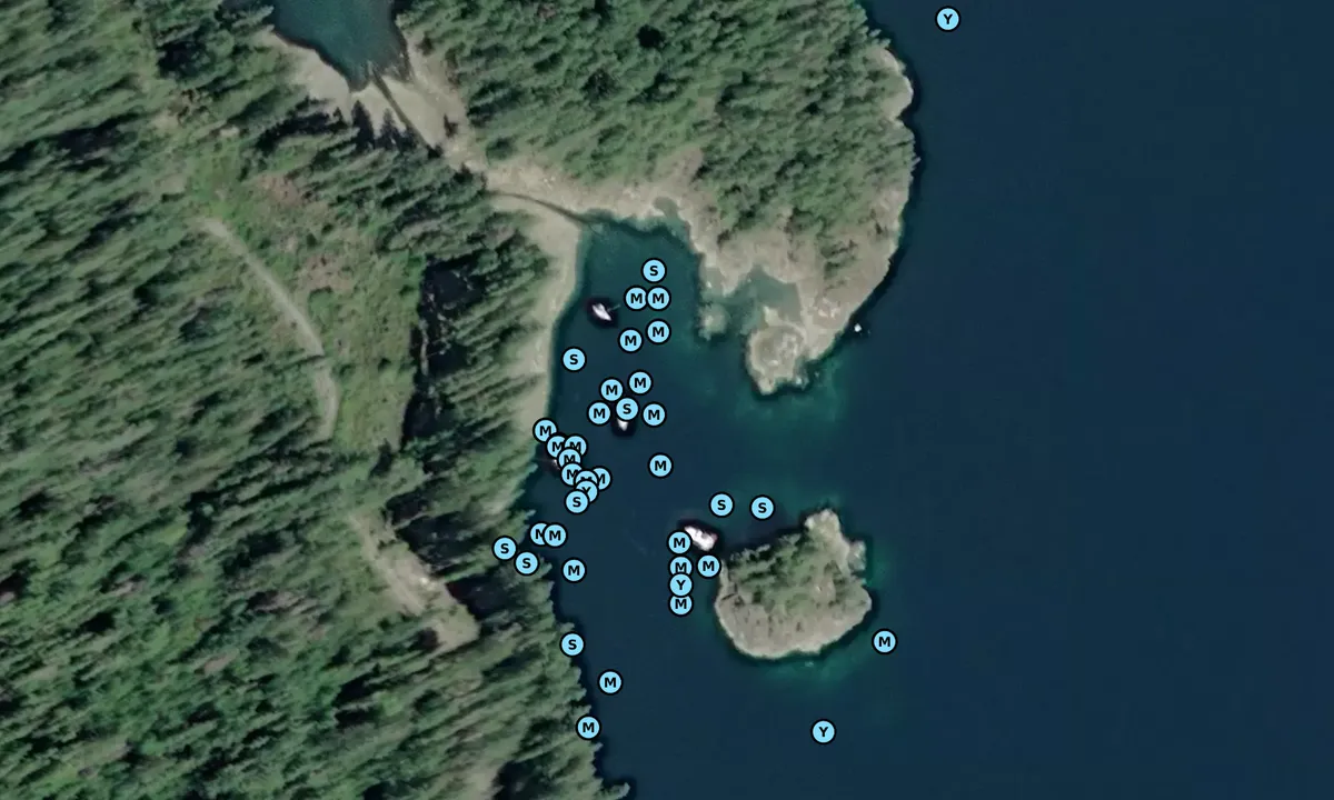 Satelite image of Pendrell Cove
