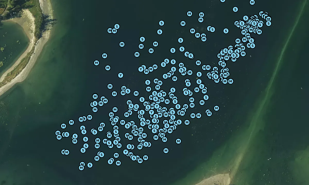 Satelite image of Penrose Point State Park
