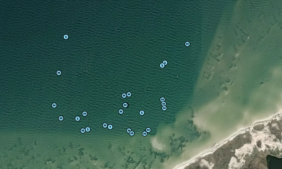 Satelite image of Petit Bois Island
