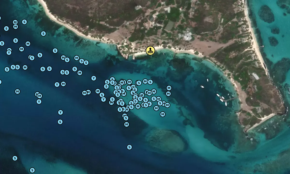 Satelite image of Petite Saint Vincent