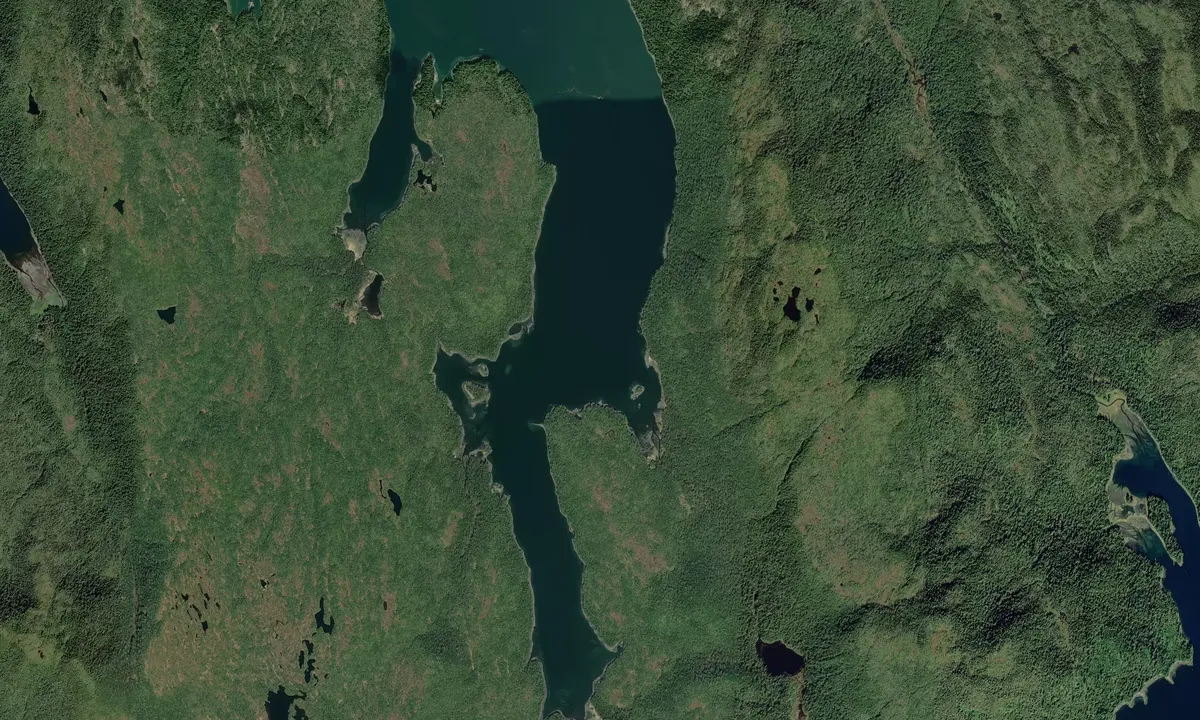 Flyfoto av Petrof Bay