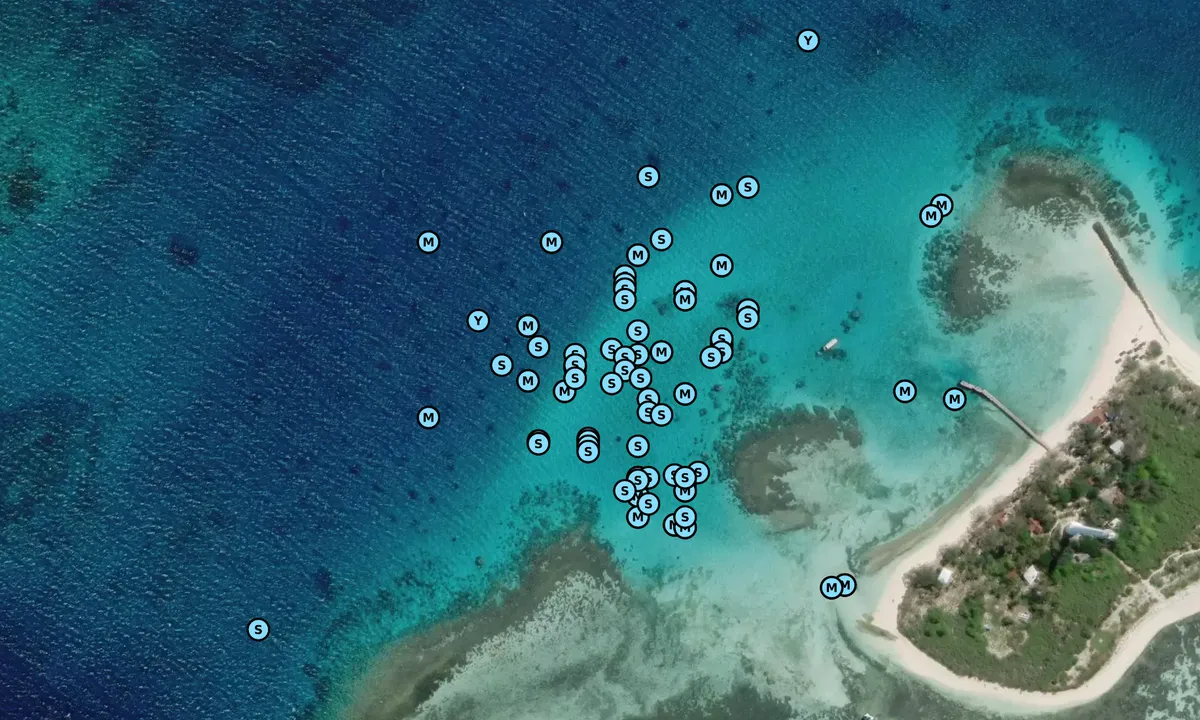 Satelite image of Phare Amédée