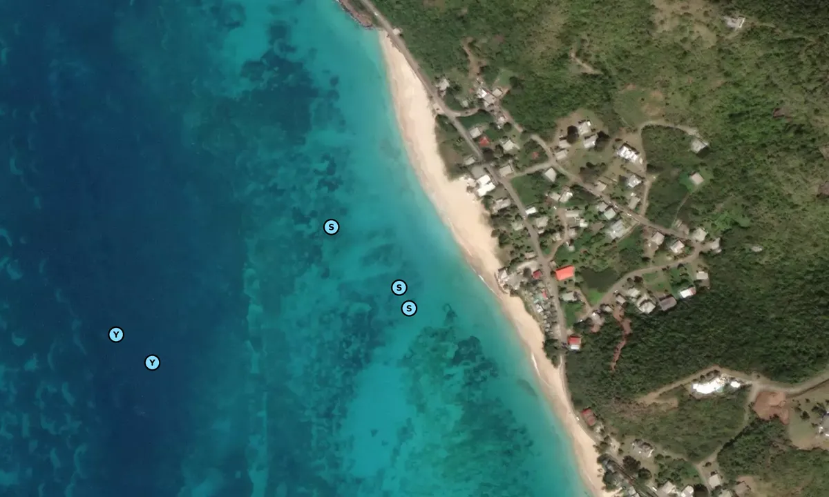 Satelite image of Picarts Bay