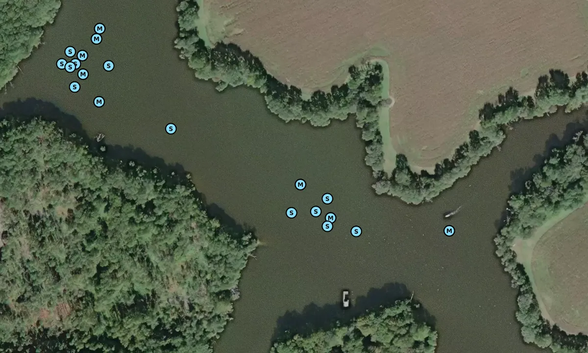 Satelite image of Pickering Creek