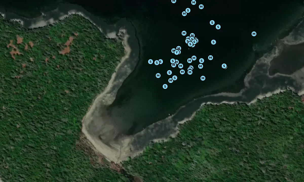 Satelite image of Pickering Island