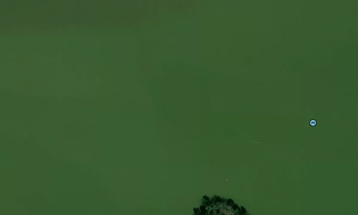 Satelite image of Pickwick Landing - 2