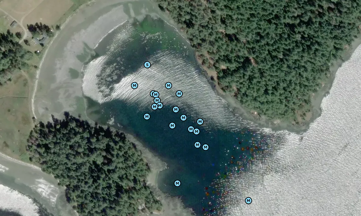 Satelite image of Picnic Cove - Shaw