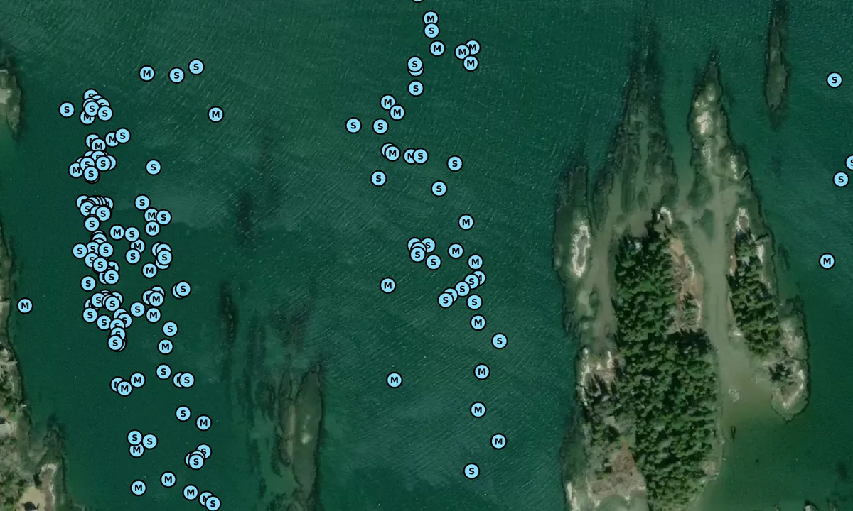 Satelite image of Pierce Cove