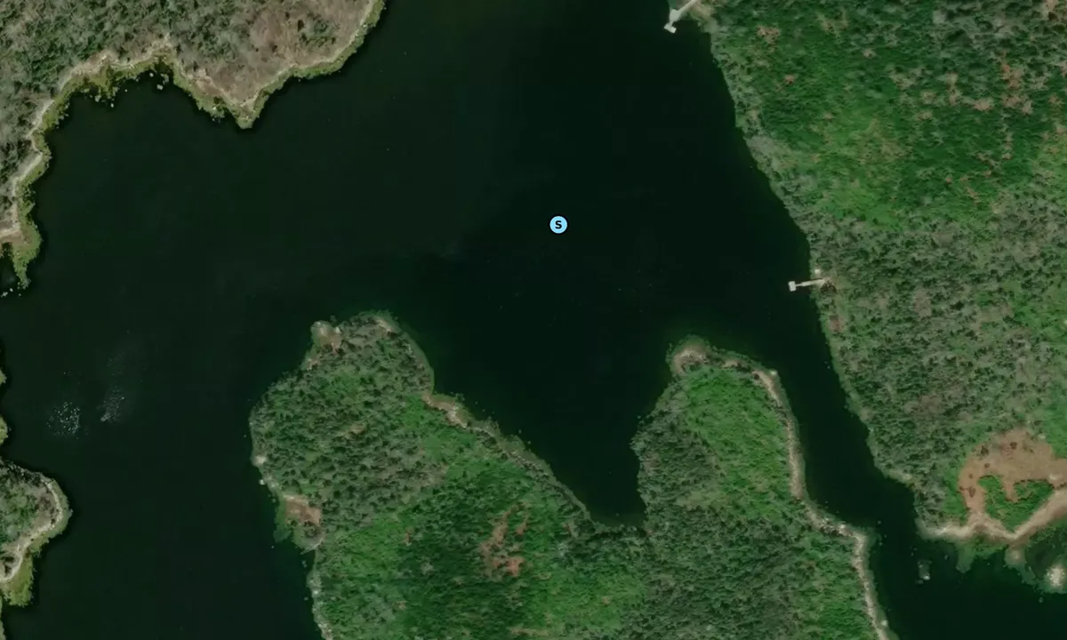 Satelite image of Pig Island