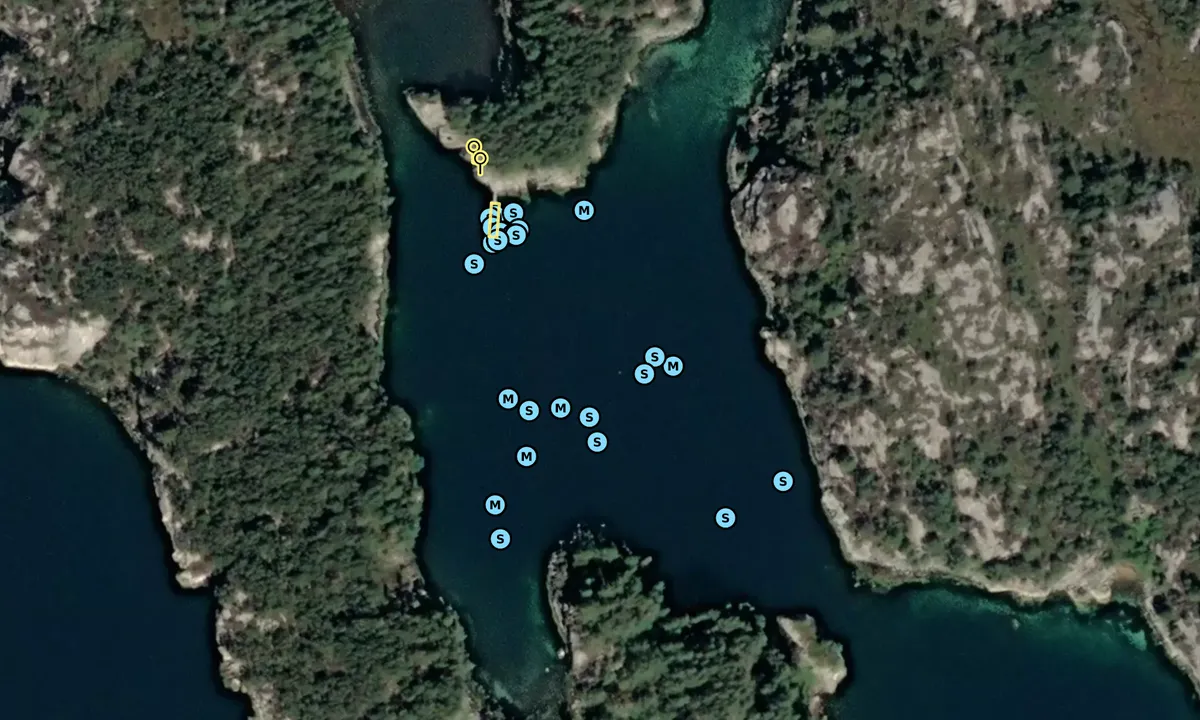 Satelite image of Pilapollen