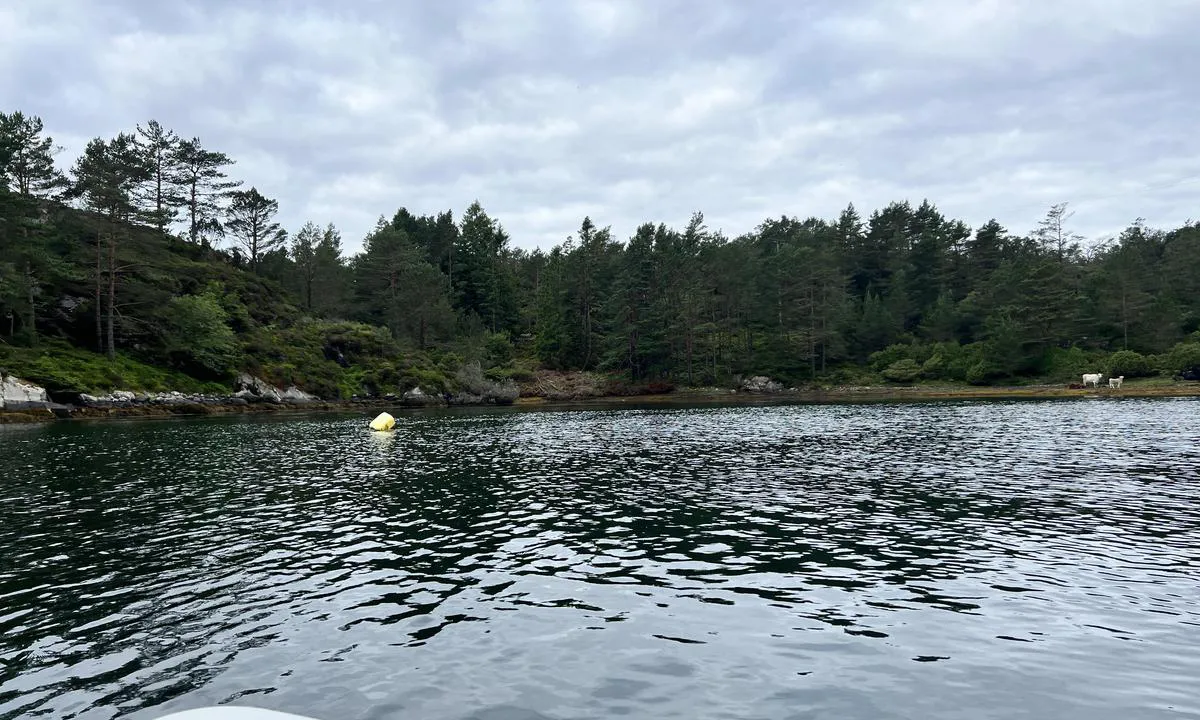 der im Luftbild erkennbare schwimmstrg an N-ende des Pilapollen fehlt. es schwimmt nur ein gelber kanister wohl als markierung.