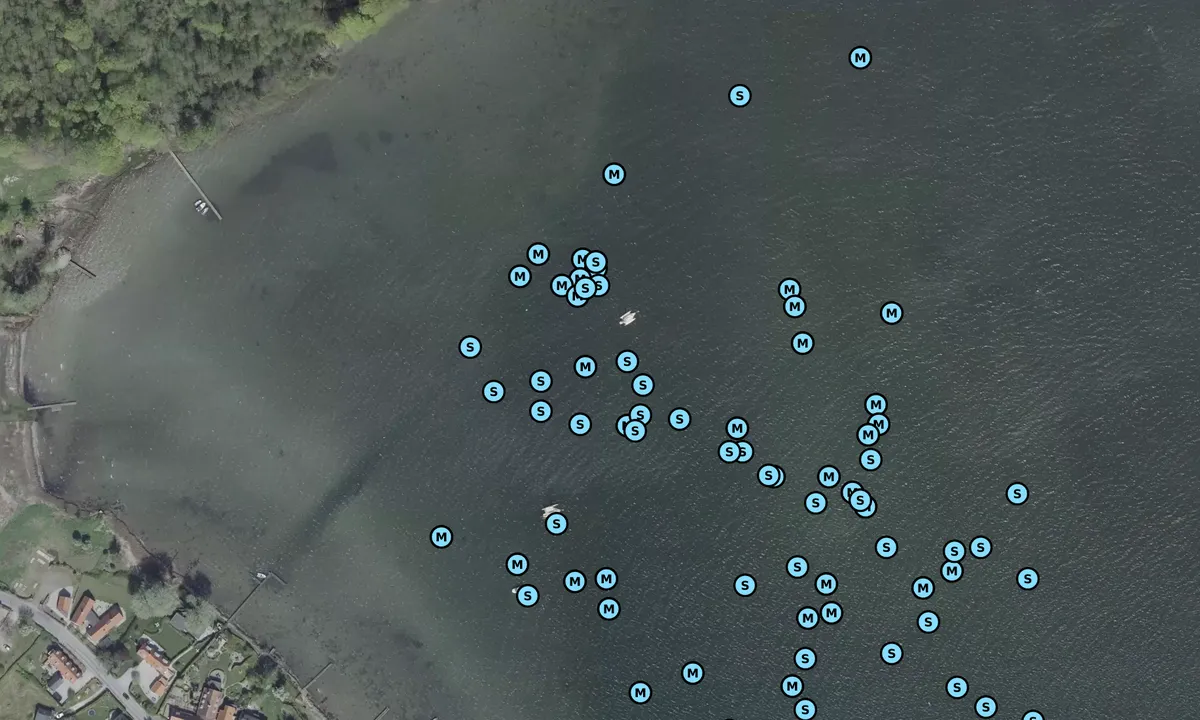 Satelite image of Pilekrogen Troense bouy