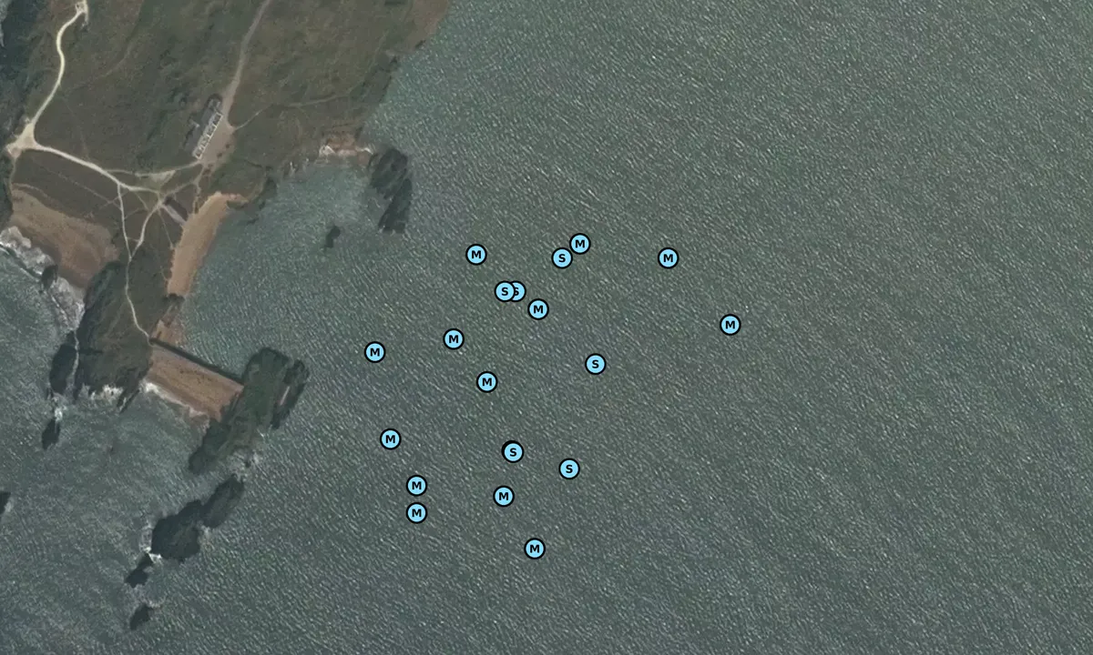 Satelite image of Pilot’s Cove