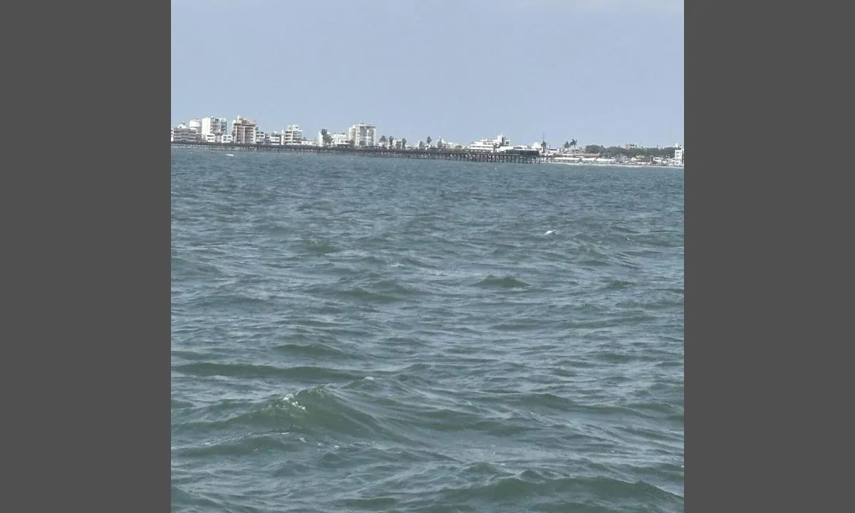 Pimentel - Chiclayo: {"base": "no", "no": "Viser piren i byen hvor der er en stige og klatre opp", "se": "Visar piren i staden d\u00e4r det finns en stege att kl\u00e4ttra upp", "en": "Shows the pier in the town where there is a ladder to climb up", "da": "Viser molen i byen hvor der er en stige og klatre op", "fr": "Montre la jet\u00e9e dans la ville o\u00f9 il y a une \u00e9chelle pour monter", "de": "Zeigt den Pier in der Stadt, wo es eine Leiter gibt, um hinaufzuklettern", "es": "Muestra el muelle de la ciudad donde hay una escalera para subir", "it": "Mostra il molo in citt\u00e0 dove c'\u00e8 una scala per arrampicare", "pt": "Mostra o molhe na cidade onde h\u00e1 uma escada para subir", "nl": "Duidt de pier in de stad aan waar er een ladder is om omhoog te klimmen", "pl": "Pokazuje molo w mie\u015bcie, gdzie znajduje si\u0119 drabina do wspinaczki", "uk": "\u041f\u043e\u043a\u0430\u0437\u0443\u0454 \u043f\u0456\u0440\u0441 \u0443 \u043c\u0456\u0441\u0442\u0456, \u0434\u0435 \u0454 \u0434\u0440\u0430\u0431\u0438\u043d\u0430 \u0434\u043b\u044f \u043f\u0456\u0434\u0439\u043e\u043c\u0443", "ro": "Arat\u0103 debarcaderul din ora\u0219 unde exist\u0103 o scar\u0103 pentru a urca", "tr": "\u015eehirde bir merdiven ve t\u0131rmanma yeri bulunan iskeleyi g\u00f6sterir", "el": "\u0394\u03b5\u03af\u03c7\u03bd\u03b5\u03b9 \u03c4\u03b7\u03bd \u03c0\u03c1\u03bf\u03b2\u03bb\u03ae\u03c4\u03b1 \u03c3\u03c4\u03b7\u03bd \u03c0\u03cc\u03bb\u03b7 \u03cc\u03c0\u03bf\u03c5 \u03c5\u03c0\u03ac\u03c1\u03c7\u03b5\u03b9 \u03bc\u03b9\u03b1 \u03c3\u03ba\u03ac\u03bb\u03b1 \u03b3\u03b9\u03b1 \u03bd\u03b1 \u03b1\u03bd\u03b5\u03b2\u03b5\u03af\u03c4\u03b5", "cs": "Zobrazuje molo ve m\u011bst\u011b, kde je \u017eeb\u0159\u00edk na v\u00fdstup", "hu": "Ez mutatja a m\u00f3l\u00f3t a v\u00e1rosban, ahol van egy l\u00e9tra, amelyen fel lehet m\u00e1szni.", "fi": "N\u00e4ytt\u00e4\u00e4 kaupungin laiturin, jossa on tikkaat ja voit kiivet\u00e4 yl\u00f6s", "bg": "\u041f\u043e\u043a\u0430\u0437\u0432\u0430 \u043a\u0435\u044f \u0432 \u0433\u0440\u0430\u0434\u0430, \u043a\u044a\u0434\u0435\u0442\u043e \u0438\u043c\u0430 \u0441\u0442\u044a\u043b\u0431\u0430 \u0437\u0430 \u0438\u0437\u043a\u0430\u0447\u0432\u0430\u043d\u0435", "sr": "\u041f\u0440\u0438\u043a\u0430\u0437\u0443\u0458\u0435 \u043f\u0438\u0440\u0441 \u0443 \u0433\u0440\u0430\u0434\u0443 \u0433\u0434\u0435 \u043f\u043e\u0441\u0442\u043e\u0458\u0438 \u043b\u0435\u0441\u0442\u0432\u0438\u0446\u0430 \u0437\u0430 \u043f\u0435\u045a\u0430\u045a\u0435", "et": "N\u00e4itab linna kaid, kus on redel ja \u00fcles ronida", "lv": "R\u0101da pils\u0113tas piest\u0101tni, kur ir k\u0101pnes un k\u0101pt aug\u0161\u0101", "lt": "Rodomas tilto mieste, kur yra kop\u0117\u010dios ir \u012flipama"}