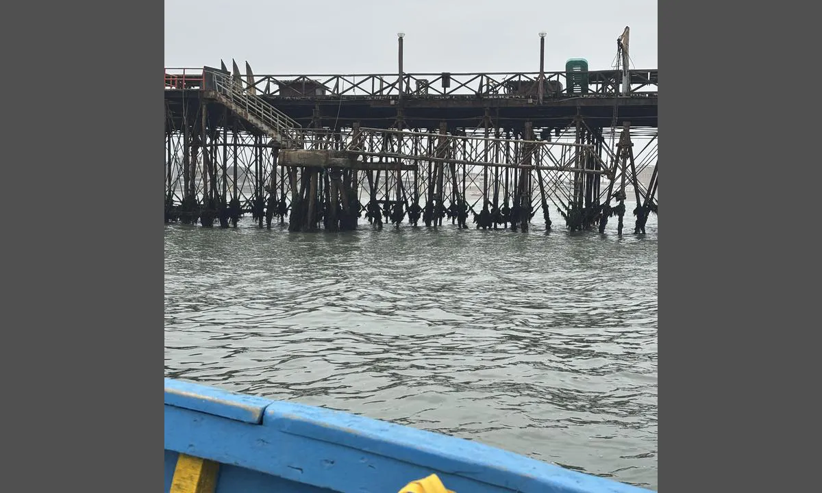 Pimentel - Chiclayo: {"base": "no", "no": "Dette viser stige og landgang for \u00e5 komme i land. N\u00e5r kystvakten kom om bord hadde de p\u00e5 seg hjelmer som sikkerhetsutstyr", "se": "Detta visar stege och landg\u00e5ng f\u00f6r att komma i land. N\u00e4r kustbevakningen kom ombord hade de p\u00e5 sig hj\u00e4lmar som s\u00e4kerhetsutrustning", "en": "This shows the ladder and gangway for going ashore. When the coast guard came on board, they were wearing helmets as safety equipment.", "da": "Dette viser stige og landgang for at komme i land. Da kystvagten kom om bord havde de hjelme p\u00e5 som sikkerhedsudstyr", "fr": "Cela montre une \u00e9chelle et une passerelle pour d\u00e9barquer. Lorsqu'ils sont mont\u00e9s \u00e0 bord, les gardes-c\u00f4tes portaient des casques comme \u00e9quipement de s\u00e9curit\u00e9.", "de": "Dies zeigt eine Leiter und eine Landungsbr\u00fccke, um an Land zu gehen. Als die K\u00fcstenwache an Bord kam, trugen sie Helme als Sicherheitsausr\u00fcstung.", "es": "Esto muestra una escalera y una pasarela para desembarcar. Cuando la guardia costera subi\u00f3 a bordo, llevaban cascos como equipo de seguridad.", "it": "Questo mostra la scala e il pontile per sbarcare. Quando la guardia costiera \u00e8 salita a bordo, indossavano caschi come equipaggiamento di sicurezza.", "pt": "Isso mostra a escada e a passarela para desembarcar. Quando a guarda costeira subiu a bordo, estavam usando capacetes como equipamento de seguran\u00e7a.", "nl": "Dit toont een ladder en een loopplank om aan land te gaan. Toen de kustwacht aan boord kwam, droegen ze helmen als veiligheidsuitrusting.", "pl": "To pokazuje drabin\u0119 i trap do zej\u015bcia na l\u0105d. Gdy stra\u017c przybrze\u017cna wesz\u0142a na pok\u0142ad, mia\u0142a na sobie he\u0142my jako wyposa\u017cenie zabezpieczaj\u0105ce.", "uk": "\u0426\u0435 \u043f\u043e\u043a\u0430\u0437\u0443\u0454 \u0441\u0445\u043e\u0434\u0438 \u0442\u0430 \u0442\u0440\u0430\u043f \u0434\u043b\u044f \u0432\u0438\u0445\u043e\u0434\u0443 \u043d\u0430 \u0431\u0435\u0440\u0435\u0433. \u041a\u043e\u043b\u0438 \u0431\u0435\u0440\u0435\u0433\u043e\u0432\u0430 \u043e\u0445\u043e\u0440\u043e\u043d\u0430 \u043f\u0456\u0434\u043d\u0456\u043c\u0430\u043b\u0430\u0441\u044f \u043d\u0430 \u0431\u043e\u0440\u0442, \u0432\u043e\u043d\u0438 \u0431\u0443\u043b\u0438 \u0432 \u0437\u0430\u0445\u0438\u0441\u043d\u0438\u0445 \u043a\u0430\u0441\u043a\u0430\u0445.", "ro": "Aceasta arat\u0103 scara \u0219i pasarela pentru a ajunge pe uscat. C\u00e2nd paza de coast\u0103 a venit la bord, purtau c\u0103\u0219ti ca echipament de siguran\u021b\u0103.", "tr": "Bu karaya \u00e7\u0131kmak i\u00e7in bir merdiven ve iskelenin oldu\u011funu g\u00f6steriyor. Sahil g\u00fcvenlik gemiye geldi\u011finde g\u00fcvenlik ekipman\u0131 olarak kask takm\u0131\u015flard\u0131.", "el": "\u0391\u03c5\u03c4\u03cc \u03b4\u03b5\u03af\u03c7\u03bd\u03b5\u03b9 \u03c3\u03ba\u03ac\u03bb\u03b1 \u03ba\u03b1\u03b9 \u03b3\u03ad\u03c6\u03c5\u03c1\u03b1 \u03b3\u03b9\u03b1 \u03bd\u03b1 \u03b1\u03c0\u03bf\u03b2\u03b9\u03b2\u03b1\u03c3\u03c4\u03b5\u03af\u03c4\u03b5. \u038c\u03c4\u03b1\u03bd \u03b7 \u03b1\u03ba\u03c4\u03bf\u03c6\u03c5\u03bb\u03b1\u03ba\u03ae \u03b1\u03bd\u03ad\u03b2\u03b7\u03ba\u03b5 \u03c3\u03c4\u03bf \u03c0\u03bb\u03bf\u03af\u03bf, \u03c6\u03bf\u03c1\u03bf\u03cd\u03c3\u03b1\u03bd \u03ba\u03c1\u03ac\u03bd\u03b7 \u03c9\u03c2 \u03b5\u03be\u03bf\u03c0\u03bb\u03b9\u03c3\u03bc\u03cc \u03b1\u03c3\u03c6\u03b1\u03bb\u03b5\u03af\u03b1\u03c2.", "cs": "Toto ukazuje \u017eeb\u0159\u00edk a p\u0159\u00edstavn\u00ed m\u016fstek pro p\u0159ist\u00e1n\u00ed. Kdy\u017e p\u0159i\u0161la pob\u0159e\u017en\u00ed str\u00e1\u017e na palubu, m\u011bli na sob\u011b p\u0159ilby jako bezpe\u010dnostn\u00ed vybaven\u00ed.", "hu": "Ez mutatja a l\u00e9tr\u00e1t \u00e9s a m\u00f3l\u00f3t a partrasz\u00e1ll\u00e1shoz. Amikor a parti \u0151rs\u00e9g a fed\u00e9lzetre l\u00e9pett, sisakot viseltek, mint biztons\u00e1gi felszerel\u00e9st.", "fi": "T\u00e4m\u00e4 n\u00e4ytt\u00e4\u00e4 tikkaat ja maihinnousulaitteen maihinnousua varten. Kun merivartiosto tuli alukseen, heill\u00e4 oli kyp\u00e4r\u00e4t turvavarusteina", "bg": "\u0422\u043e\u0432\u0430 \u043f\u043e\u043a\u0430\u0437\u0432\u0430 \u0441\u0442\u044a\u043b\u0431\u0430 \u0438 \u0442\u0440\u0430\u043f \u0437\u0430 \u0441\u043b\u0438\u0437\u0430\u043d\u0435 \u043d\u0430 \u0431\u0440\u0435\u0433\u0430. \u041a\u043e\u0433\u0430\u0442\u043e \u0431\u0440\u0435\u0433\u043e\u0432\u0430\u0442\u0430 \u043e\u0445\u0440\u0430\u043d\u0430 \u0434\u043e\u0439\u0434\u0435 \u043d\u0430 \u0431\u043e\u0440\u0434\u0430, \u0442\u0435 \u043d\u043e\u0441\u0435\u0445\u0430 \u043a\u0430\u0441\u043a\u0438 \u043a\u0430\u0442\u043e \u0447\u0430\u0441\u0442 \u043e\u0442 \u043f\u0440\u0435\u0434\u043f\u0430\u0437\u043d\u043e\u0442\u043e \u0441\u043d\u0430\u0440\u044f\u0436\u0435\u043d\u0438\u0435.", "sr": "\u041e\u0432\u043e \u043f\u043e\u043a\u0430\u0437\u0443\u0458\u0435 \u043b\u0435\u0441\u0442\u0432\u0435 \u0438 \u0438\u0441\u043a\u0440\u0446\u0430\u0432\u0430\u045a\u0435 \u0437\u0430 \u043f\u0440\u0438\u0441\u0442\u0443\u043f \u043e\u0431\u0430\u043b\u0438. \u041a\u0430\u0434\u0430 \u0458\u0435 \u043e\u0431\u0430\u043b\u0441\u043a\u0430 \u0441\u0442\u0440\u0430\u0436\u0430 \u0434\u043e\u0448\u043b\u0430 \u043d\u0430 \u0431\u0440\u043e\u0434, \u0438\u043c\u0430\u043b\u0438 \u0441\u0443 \u043d\u0430 \u0441\u0435\u0431\u0438 \u043a\u0430\u0446\u0438\u0433\u0435 \u043a\u0430\u043e \u0437\u0430\u0448\u0442\u0438\u0442\u043d\u0443 \u043e\u043f\u0440\u0435\u043c\u0443.", "et": "See n\u00e4itab maalesaadet ja pardarehvi, et maale p\u00e4\u00e4seda. Kui rannavalve tuli pardale, kandsid nad kaitsevarustust kiivrite n\u00e4ol.", "lv": "\u0160is r\u0101da k\u0101pnes un piest\u0101tni nok\u0101p\u0161anai krast\u0101. Kad piekrastes apsardze uzk\u0101pa uz ku\u0123a, vi\u0146iem bija uzvilkti \u0137iveres k\u0101 dro\u0161\u012bbas apr\u012bkojums.", "lt": "Tai rodo laiptus ir land\u0161kest\u012f, kad pasiektum\u0117te krant\u0105. Kai pakran\u010di\u0173 apsauga atvyko \u012f laiv\u0105, jie d\u0117v\u0117jo \u0161almus kaip apsaugos priemon\u0119."}