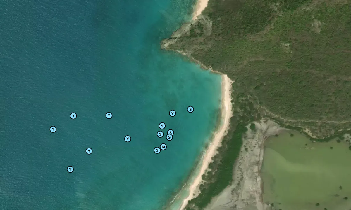 Satelite image of Pinching Bay 1