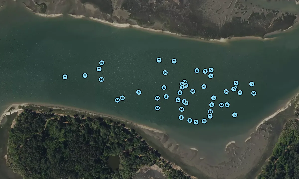 Satelite image of Pinckney Island