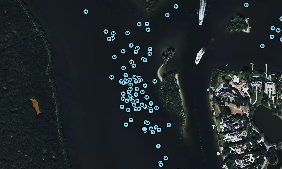 Satelite image of Pine Island - 2