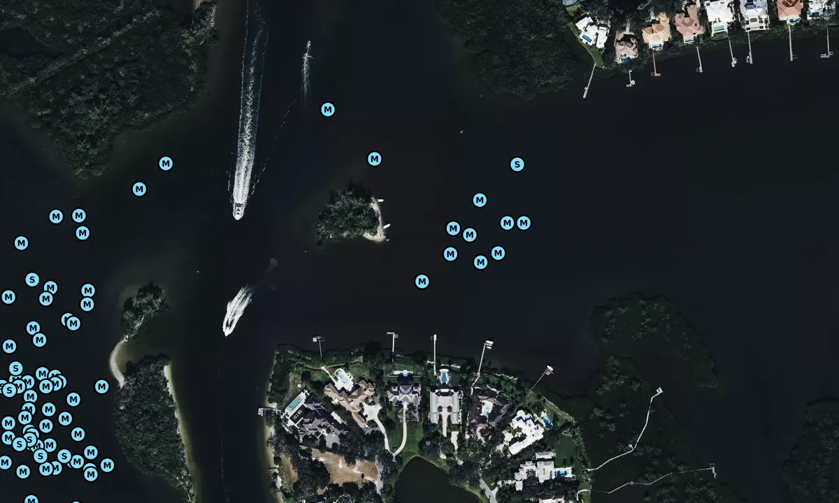 Satelite image of Pine Island - 3