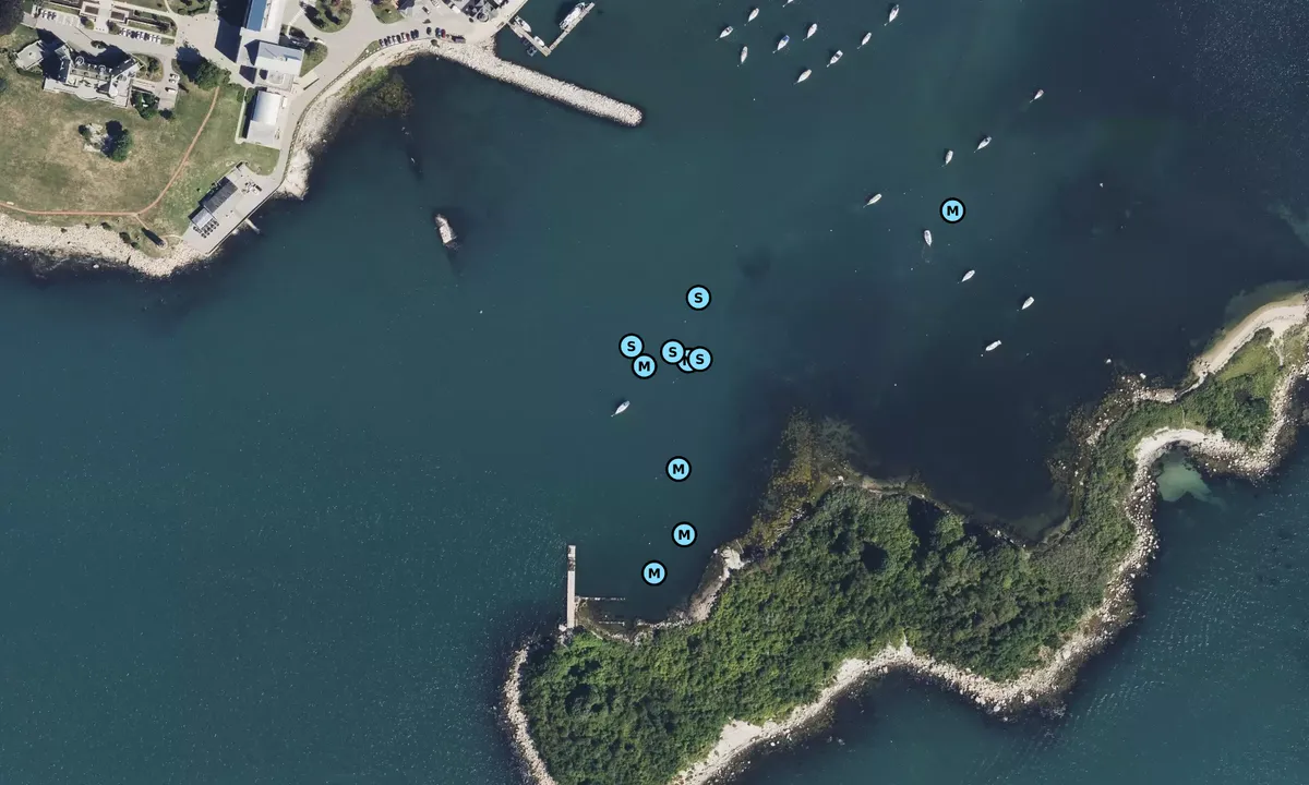 Satelite image of Pine Island