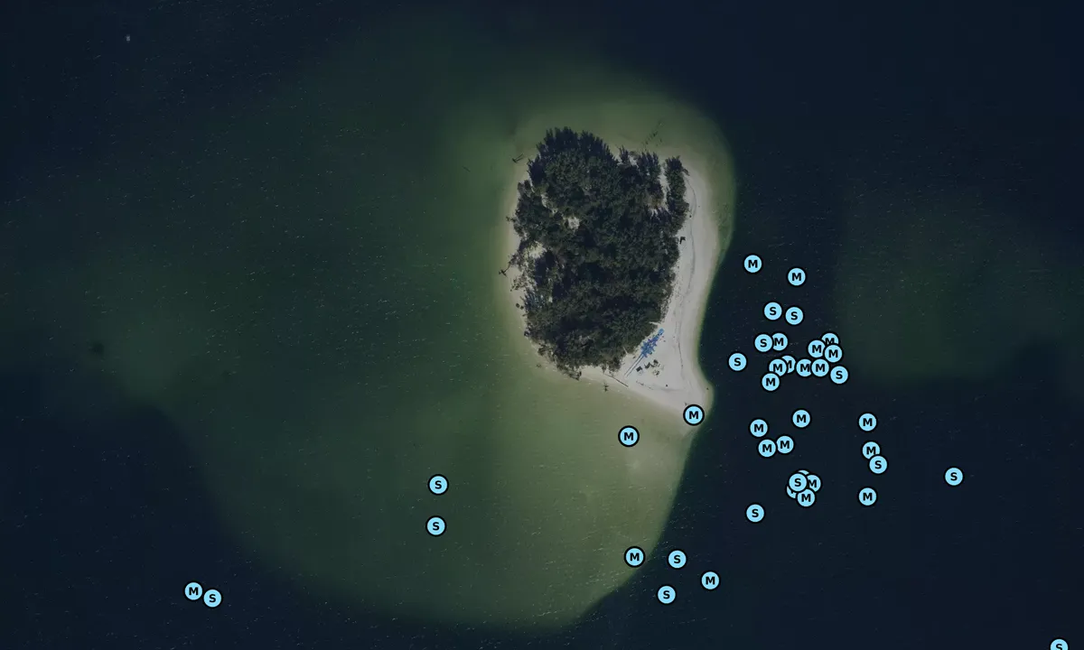 Satelite image of Pine Key Tampa Bay (formerly Beer Can Island)