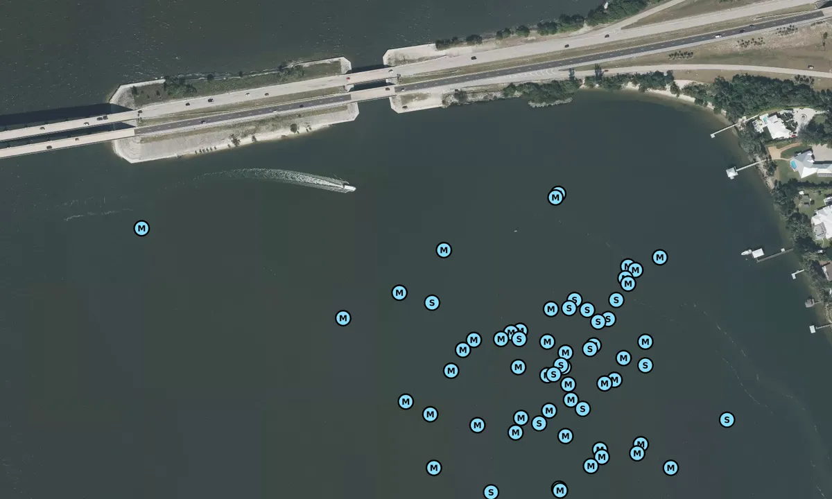 Satelite image of Pineda Causeway South
