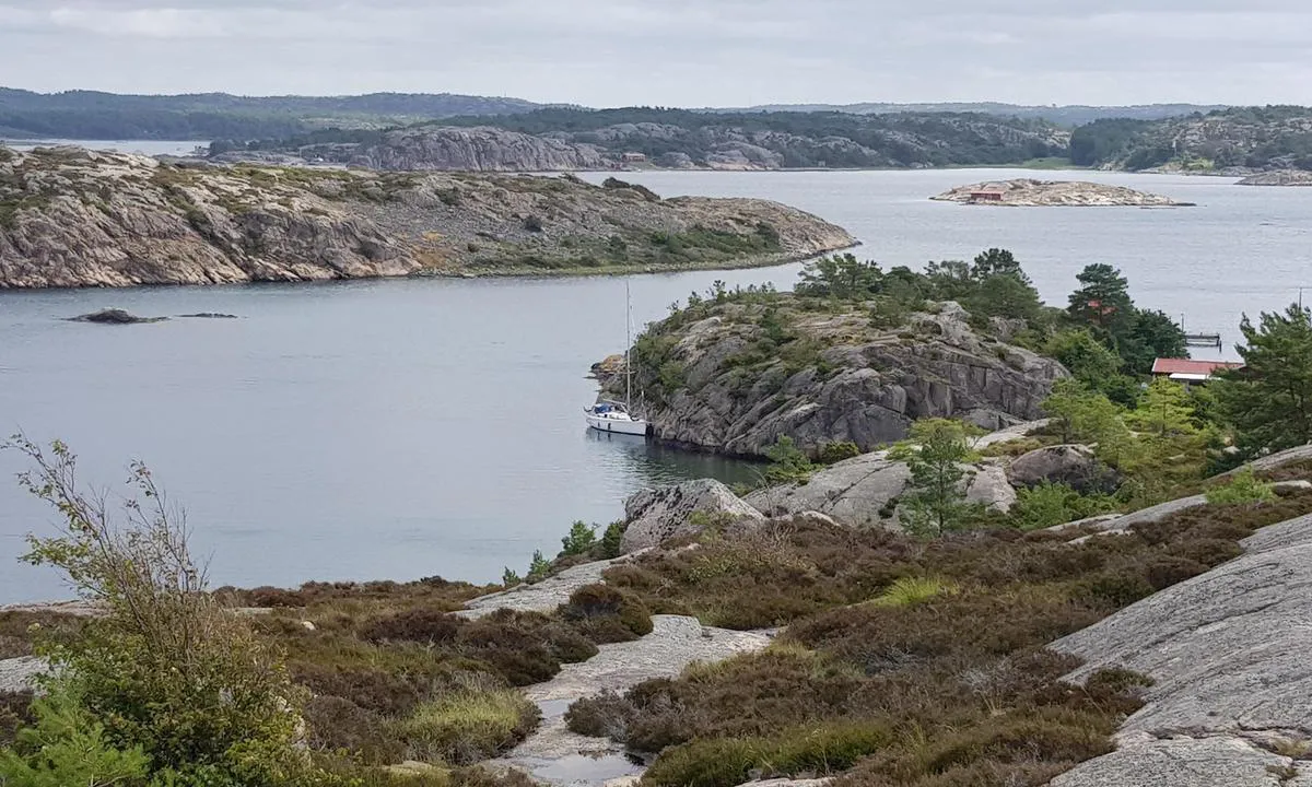 Pinnö: {"base": "se", "no": "Rolig og fin havn med mulighet for langside", "se": "Lugn och fin hamn med m\u00f6jlighet till l\u00e5ngsida", "en": "Calm and pleasant harbor with the possibility for side-to docking", "da": "Rolig og fin havn med mulighed for langsides fort\u00f8jning", "fr": "Port tranquille et agr\u00e9able avec possibilit\u00e9 d'amarrage de c\u00f4t\u00e9", "de": "Ruhiger und sch\u00f6ner Hafen mit M\u00f6glichkeit zur L\u00e4ngsseite.", "es": "Tranquilo y bonito puerto con posibilidad de atraque de costado", "it": "Porto tranquillo e piacevole con possibilit\u00e0 di ormeggio lungo il lato", "pt": "Calmo e tranquilo porto com possibilidade de amarra\u00e7\u00e3o lateral", "nl": "Rustige en mooie haven met mogelijkheden tot langsaanmeren", "pl": "Spokojna i \u0142adna przysta\u0144 z mo\u017cliwo\u015bci\u0105 cumowania wzd\u0142u\u017c burty", "uk": "\u0422\u0438\u0445\u0438\u0439 \u0442\u0430 \u0437\u0430\u0442\u0438\u0448\u043d\u0438\u0439 \u043f\u043e\u0440\u0442 \u0437 \u043c\u043e\u0436\u043b\u0438\u0432\u0456\u0441\u0442\u044e \u0448\u0432\u0430\u0440\u0442\u0443\u0432\u0430\u043d\u043d\u044f \u0432\u0437\u0434\u043e\u0432\u0436 \u0431\u0435\u0440\u0435\u0433\u0430", "ro": "Port lini\u0219tit \u0219i frumos, cu posibilitate de acostare lateral\u0103", "tr": "Sakin ve g\u00fczel bir liman, yana\u015fma imkan\u0131 mevcut", "el": "\u0389\u03c1\u03b5\u03bc\u03bf \u03ba\u03b1\u03b9 \u03c9\u03c1\u03b1\u03af\u03bf \u03bb\u03b9\u03bc\u03ac\u03bd\u03b9 \u03bc\u03b5 \u03b4\u03c5\u03bd\u03b1\u03c4\u03cc\u03c4\u03b7\u03c4\u03b1 \u03c0\u03bb\u03b5\u03c5\u03c1\u03b9\u03ba\u03ae\u03c2 \u03c0\u03c1\u03cc\u03c3\u03b4\u03b5\u03c3\u03b7\u03c2", "cs": "Klidn\u00fd a p\u011bkn\u00fd p\u0159\u00edstav s mo\u017enost\u00ed p\u0159\u00edst\u00e1n\u00ed bokem", "hu": "Nyugodt \u00e9s sz\u00e9p kik\u00f6t\u0151, ahol lehet\u0151s\u00e9g van a hosszanti oldalra kik\u00f6tni", "fi": "Rauhallinen ja mukava satama, jossa on mahdollisuus kiinnitty\u00e4 kyljitt\u00e4in", "bg": "\u0421\u043f\u043e\u043a\u043e\u0439\u043d\u043e \u0438 \u043f\u0440\u0438\u044f\u0442\u043d\u043e \u043f\u0440\u0438\u0441\u0442\u0430\u043d\u0438\u0449\u0435 \u0441 \u0432\u044a\u0437\u043c\u043e\u0436\u043d\u043e\u0441\u0442 \u0437\u0430 \u0441\u0442\u0440\u0430\u043d\u0438\u0447\u043d\u043e \u043f\u0440\u0438\u0441\u0442\u0430\u0432\u0430\u043d\u0435", "sr": "Mirna i lepo ure\u0111ena luka sa mogu\u0107no\u0161\u0107u pristajanja du\u017e bokova.", "et": "Rahulik ja kena sadam, kus on v\u00f5imalus silduda k\u00fclili", "lv": "Mier\u012bga un labi organiz\u0113ta osta ar iesp\u0113ju piest\u0101t garoz\u0101", "lt": "Rami ir maloni uostas su galimybe \u0161vartavimosi prie ilgijos"}